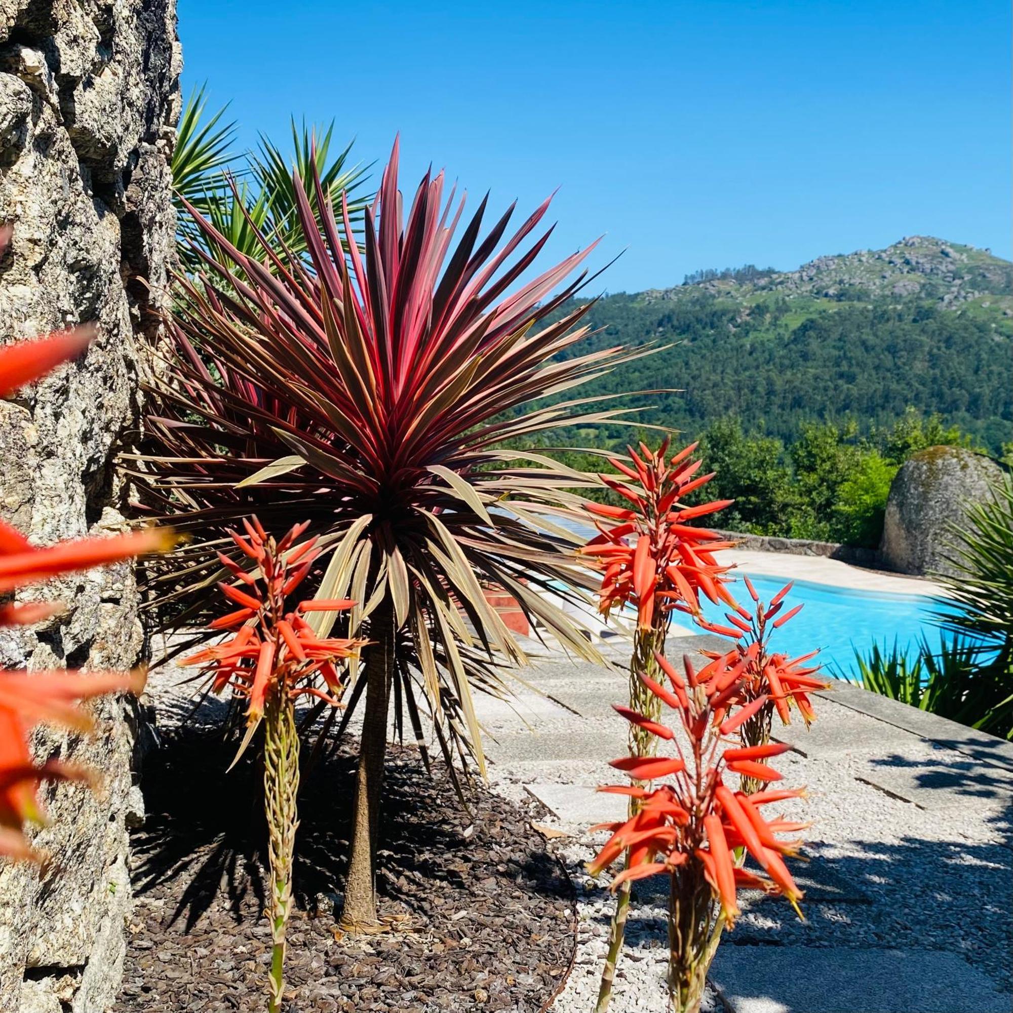 Villa Quinta Cercas Da Costa à Vieira do Minho Extérieur photo