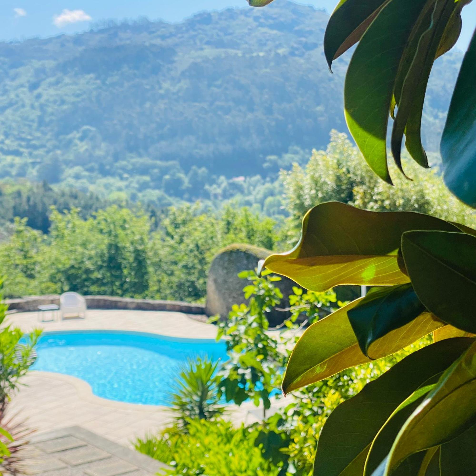 Villa Quinta Cercas Da Costa à Vieira do Minho Extérieur photo
