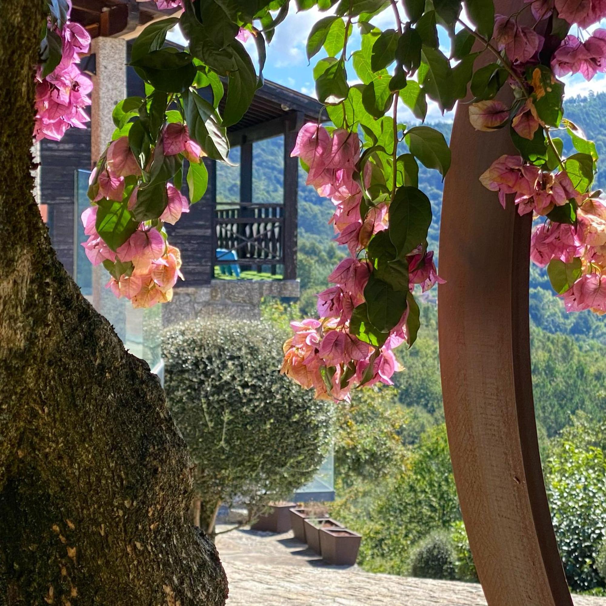Villa Quinta Cercas Da Costa à Vieira do Minho Extérieur photo